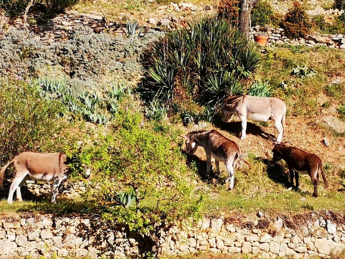 Les Git'Anes de Pontevès Villa Esterno foto